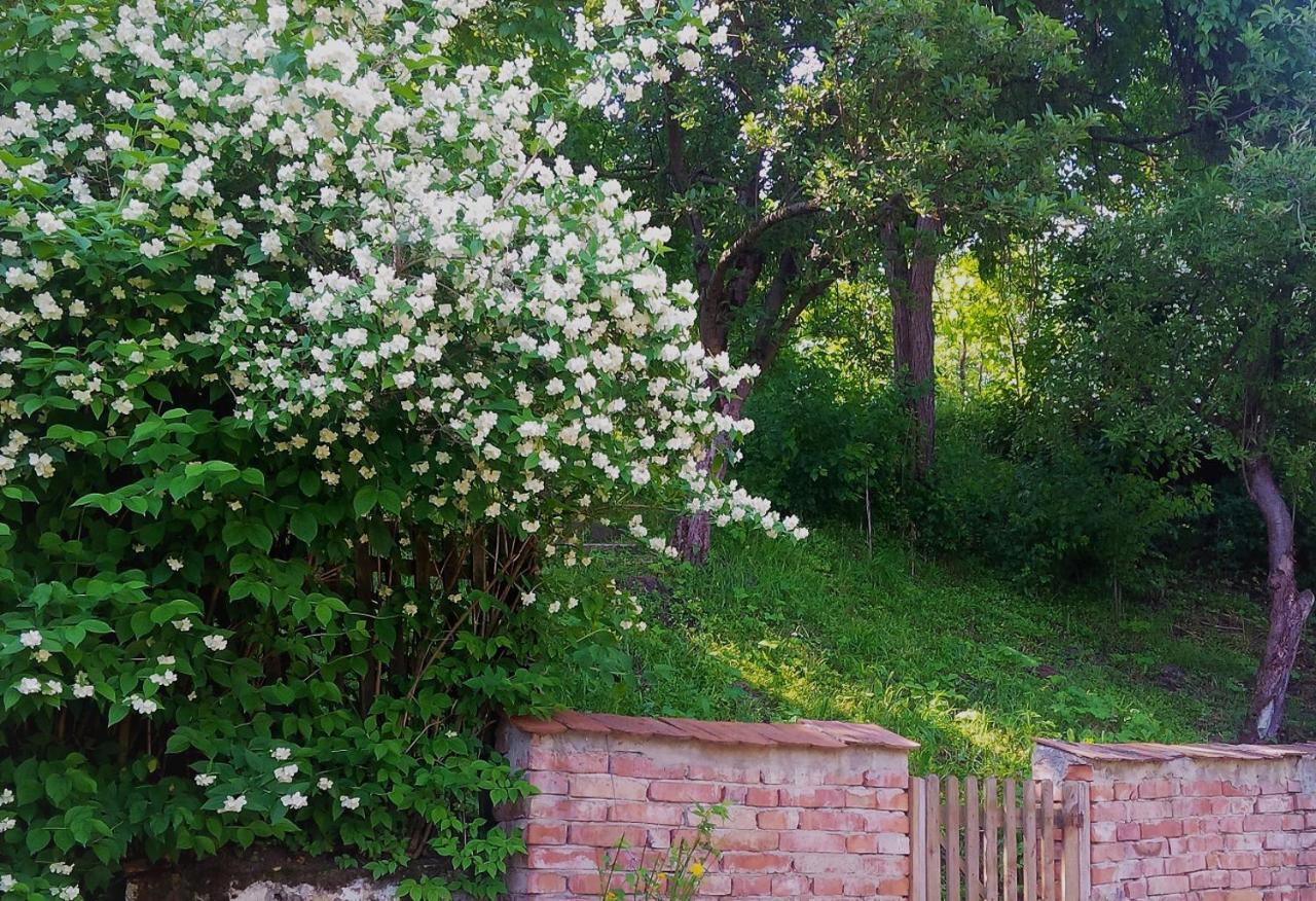 Casa Sighisoara56 Hébergement de vacances